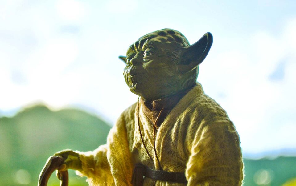 Master Yoda from Star Wars